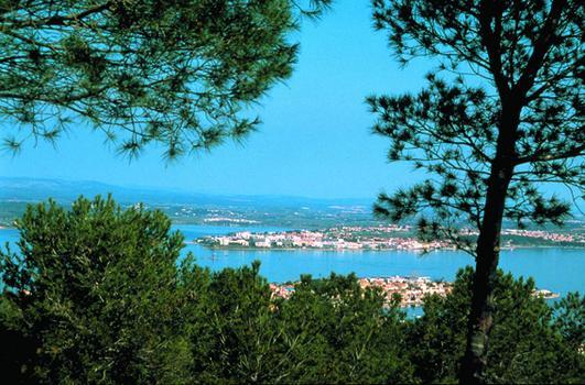 Les Oliviers Apartment Balaruc-les-Bains Luaran gambar